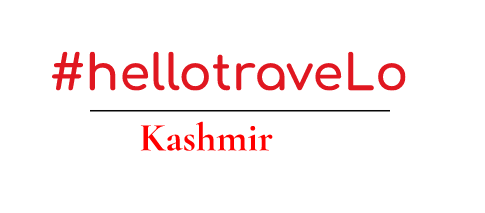Photo of My first ever solo trip to Kashmir by TraveLo