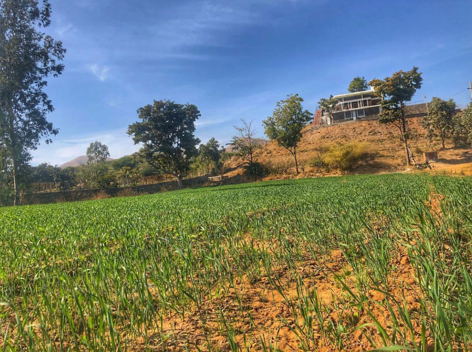 Photo of Riverside Estate Udaipur, Chaukariya, Rajasthan, India by Karmveer Singh Rathore