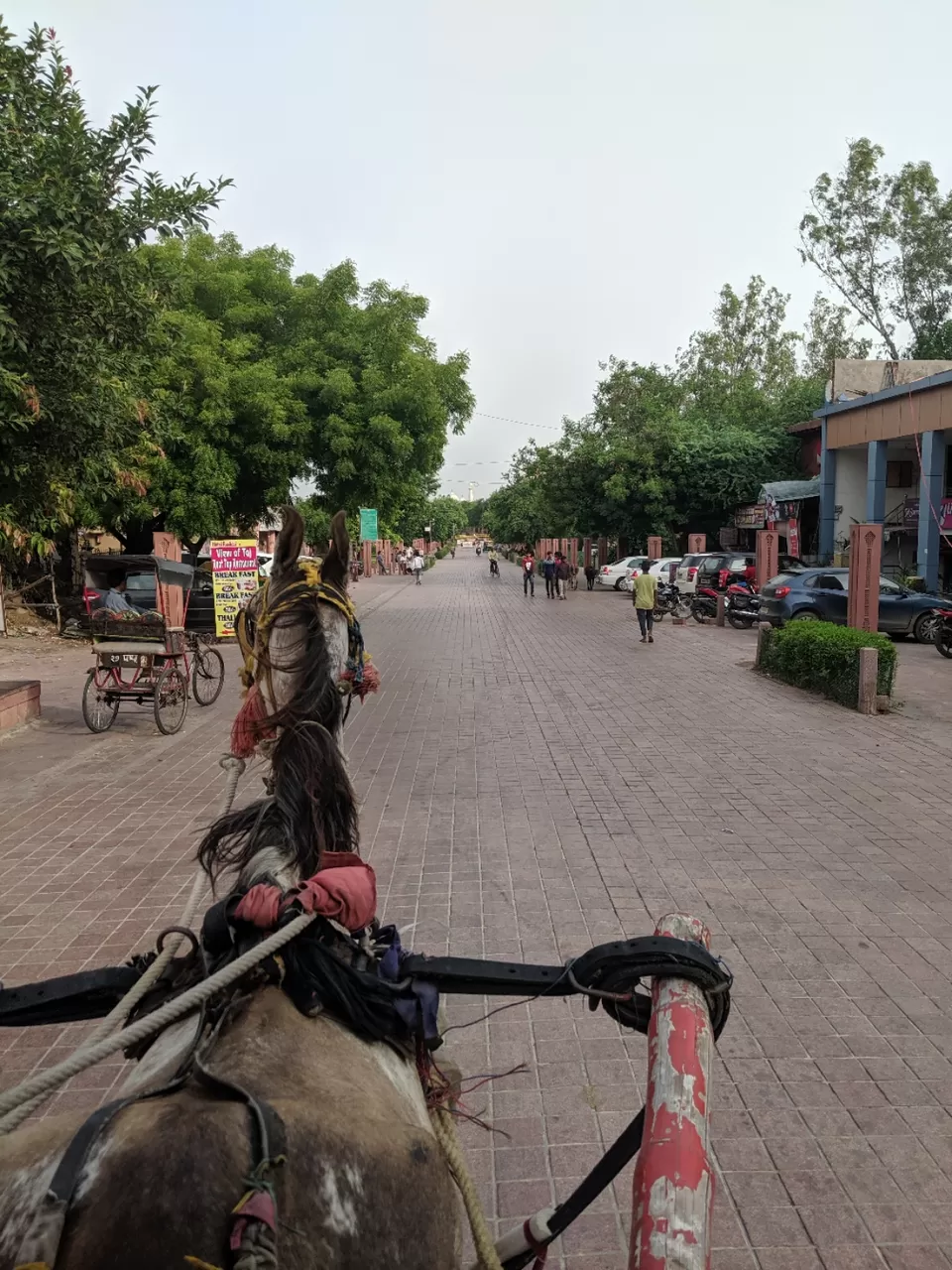 Photo of Agra, Uttar Pradesh, India by Robbin Singh