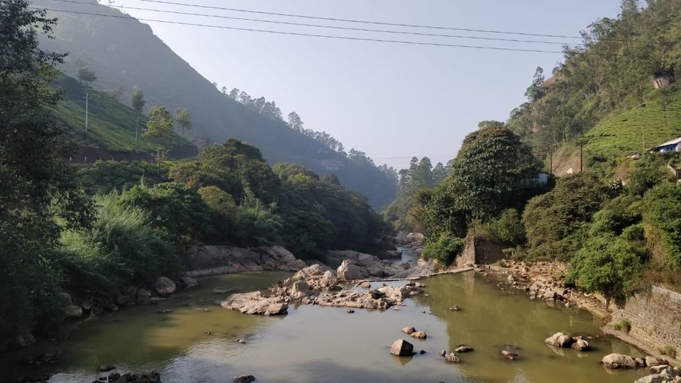 Photo of Tea Gardens, Munnar, Kerala, India by Shivani Rawat