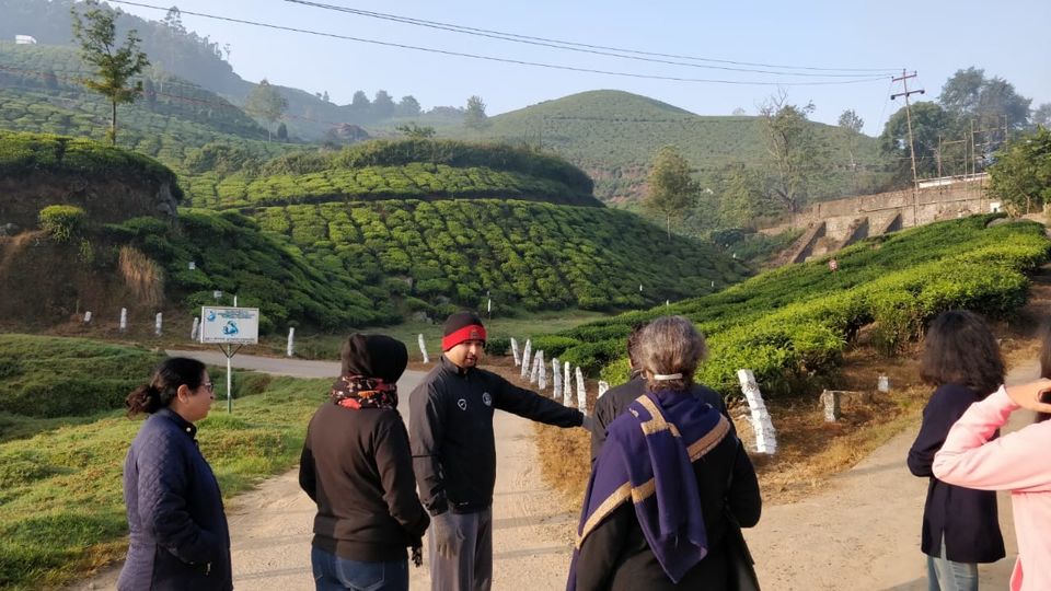 Photo of Tea Gardens, Munnar, Kerala, India by Shivani Rawat