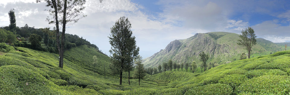 Photo of This 18th Century Library in Ooty is a Bibliophile’s Delight #HiddenGem #Ooty #Nilgiris 2/14 by Mukul Mudgal