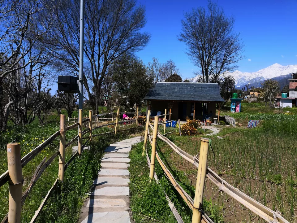 Photo of Bir Billing Paragliding, Bir, Himachal Pradesh, India by ISHAN JOSHI