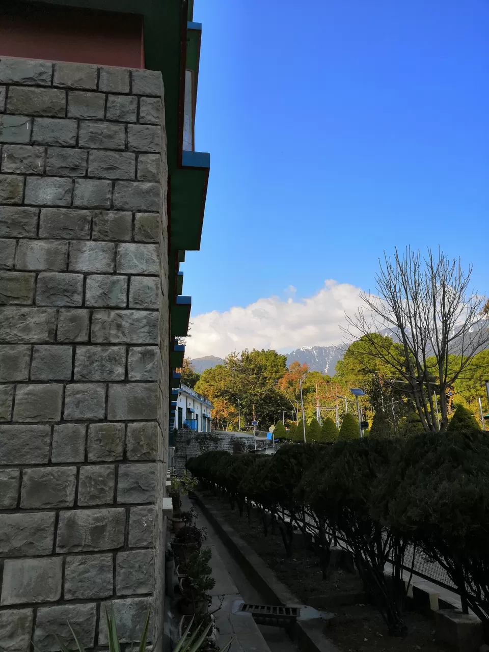 Photo of Bir Billing Paragliding, Bir, Himachal Pradesh, India by ISHAN JOSHI