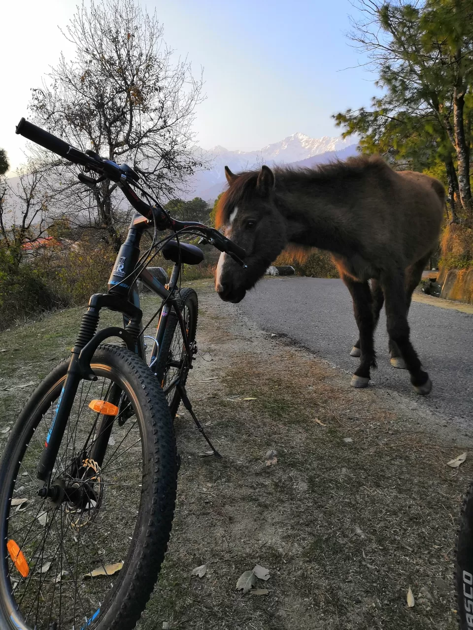Photo of Bir Billing Paragliding, Bir, Himachal Pradesh, India by ISHAN JOSHI