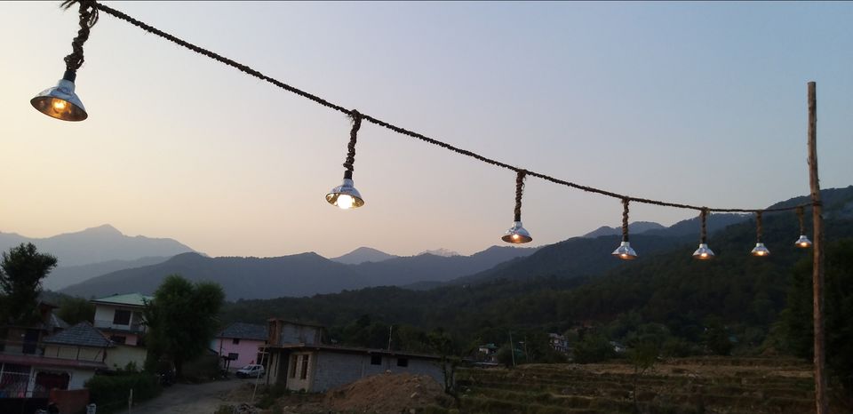 Photo of Brews and Bir ☕ by yashita sinha