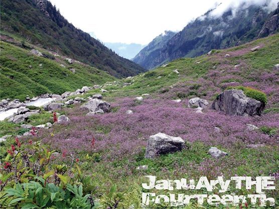 Photo of Trek to Deo Tibba Basecamp near Manali in Himachal by Raghav Khattar