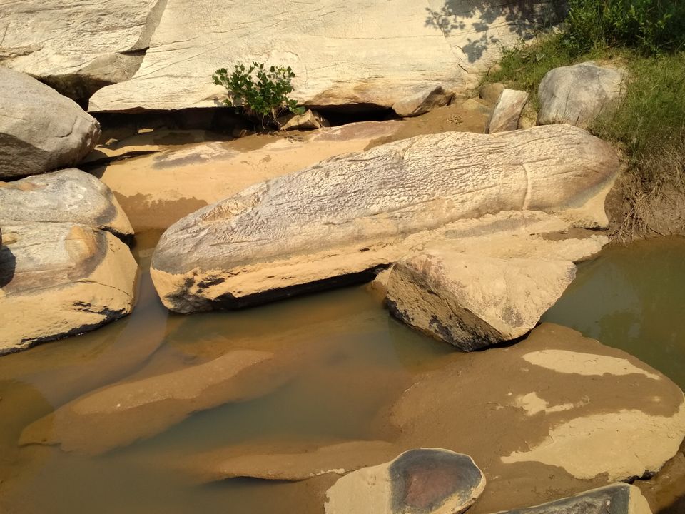 Photo of Panchghagh Falls, Bamhari, Jharkhand, India by Ishanee ghosal
