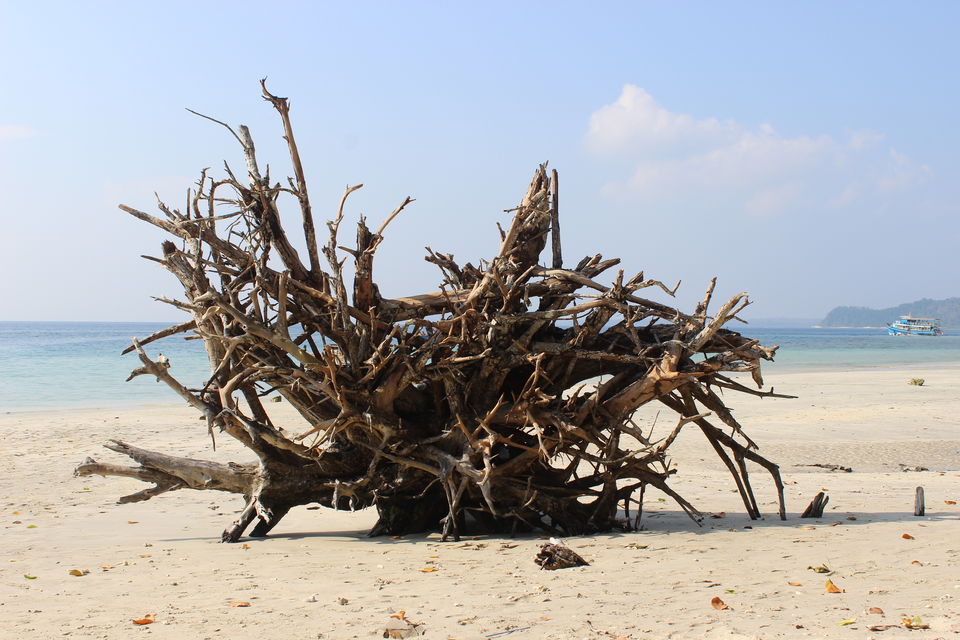 Photo of A love affair with Andaman 1/14 by Sumedha Joshi