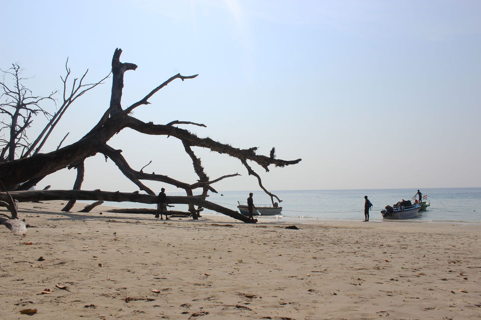 Photo of A love affair with Andaman 2/14 by Sumedha Joshi