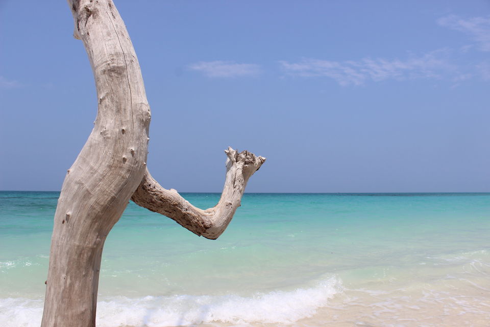 Photo of A love affair with Andaman 6/14 by Sumedha Joshi