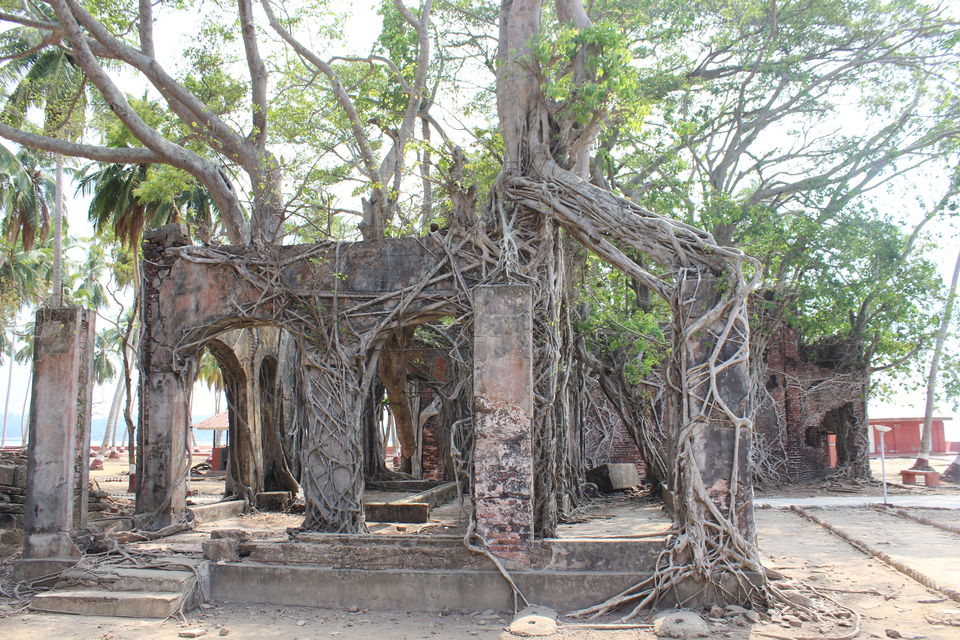 Photo of A love affair with Andaman 12/14 by Sumedha Joshi