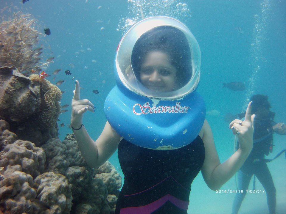 Photo of A love affair with Andaman 14/14 by Sumedha Joshi