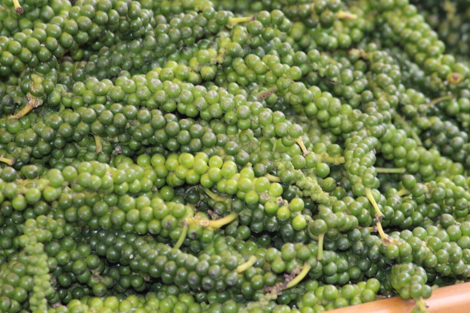 Photo of A quicky trip to Enchanting Yercaud by kirthika arumugam