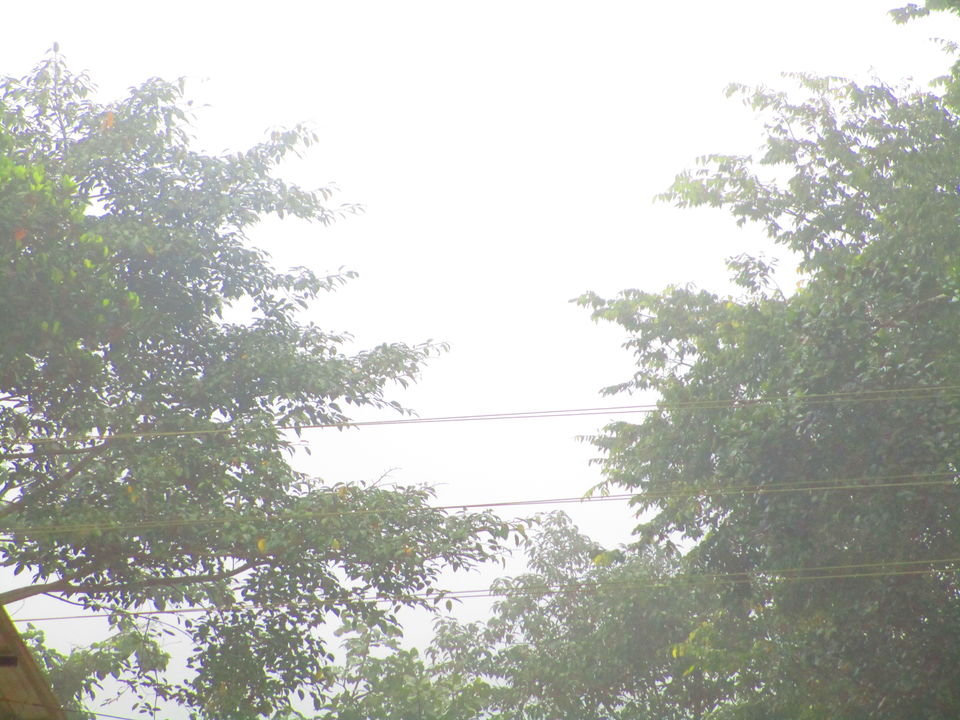 Photo of Around Mangalore in 3 days by kirthika arumugam