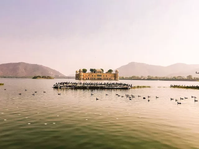 Photo of Jal Mahal, Amer Road, Jal Mahal, Amer, Jaipur, Rajasthan, India by Garima Aneja