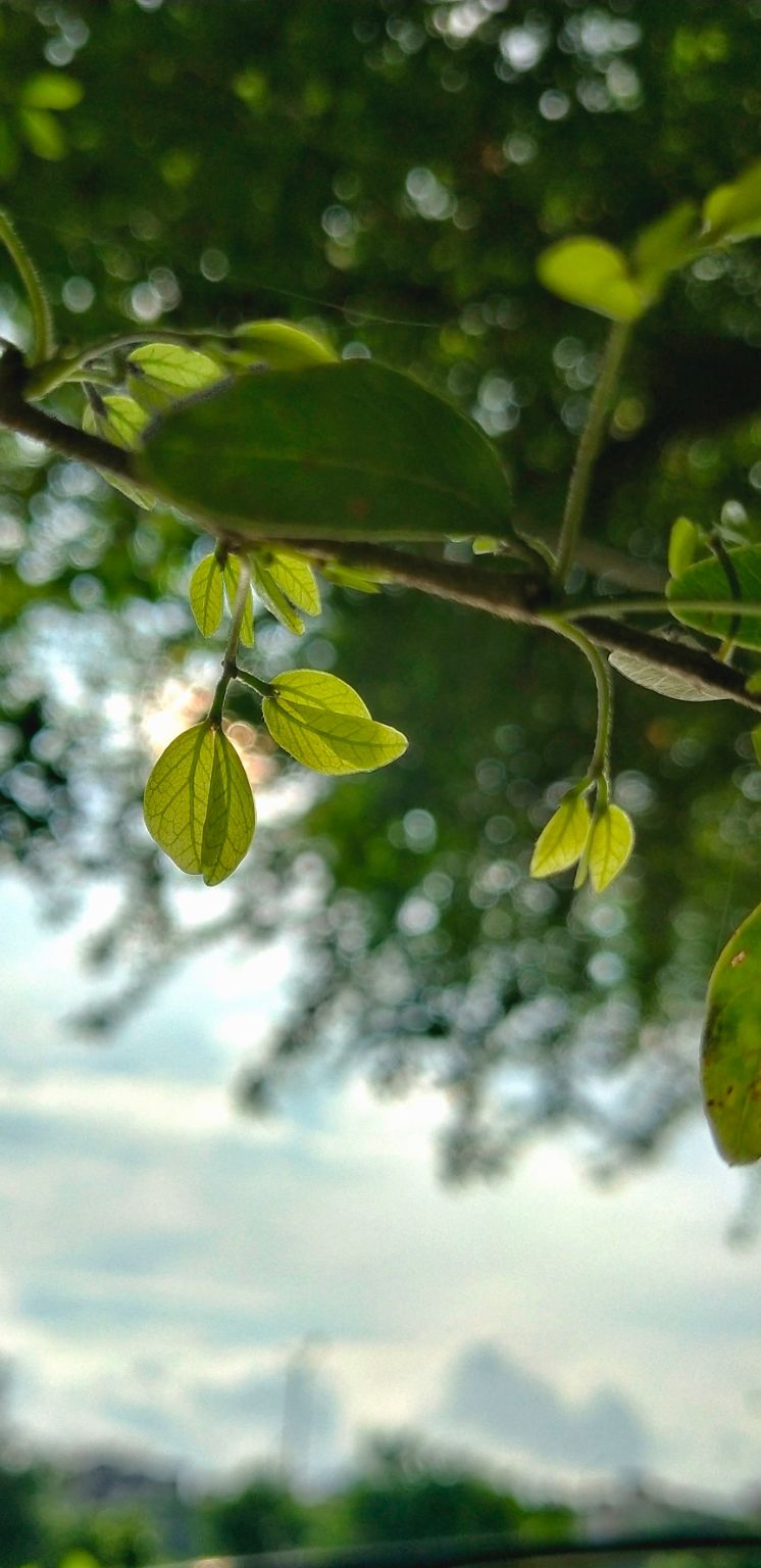Photo of Kashmir of Orissa: A monsoon destination that is yet to get commercialized by NEIL
