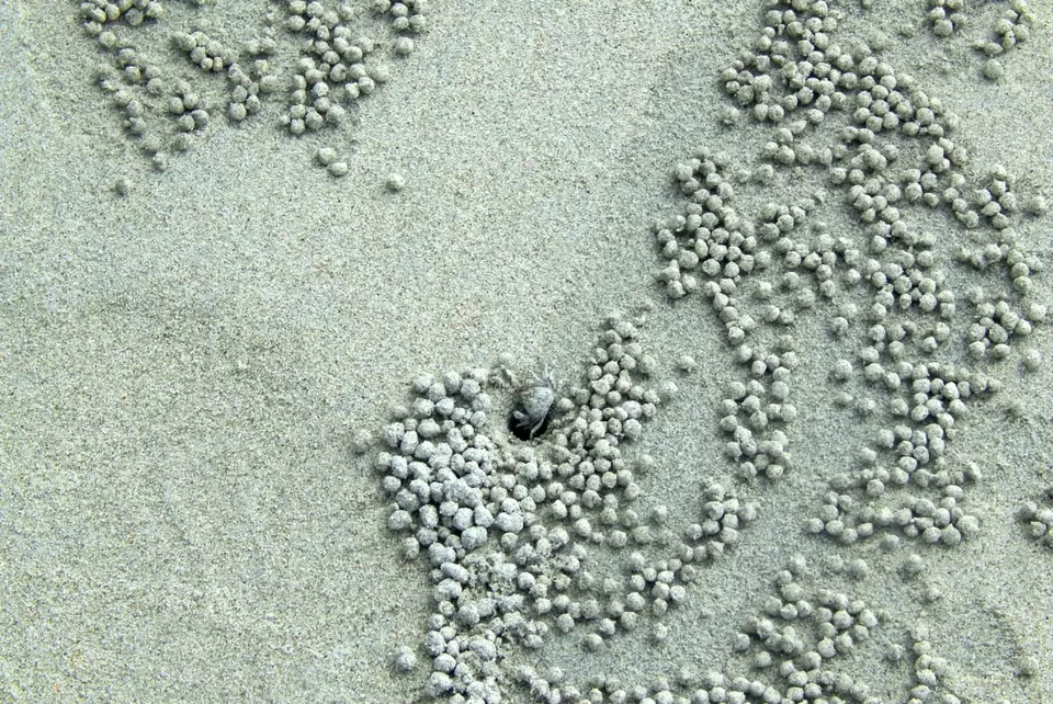 Photo of Andaman and Nicobar Islands by Samrat Bhowmick