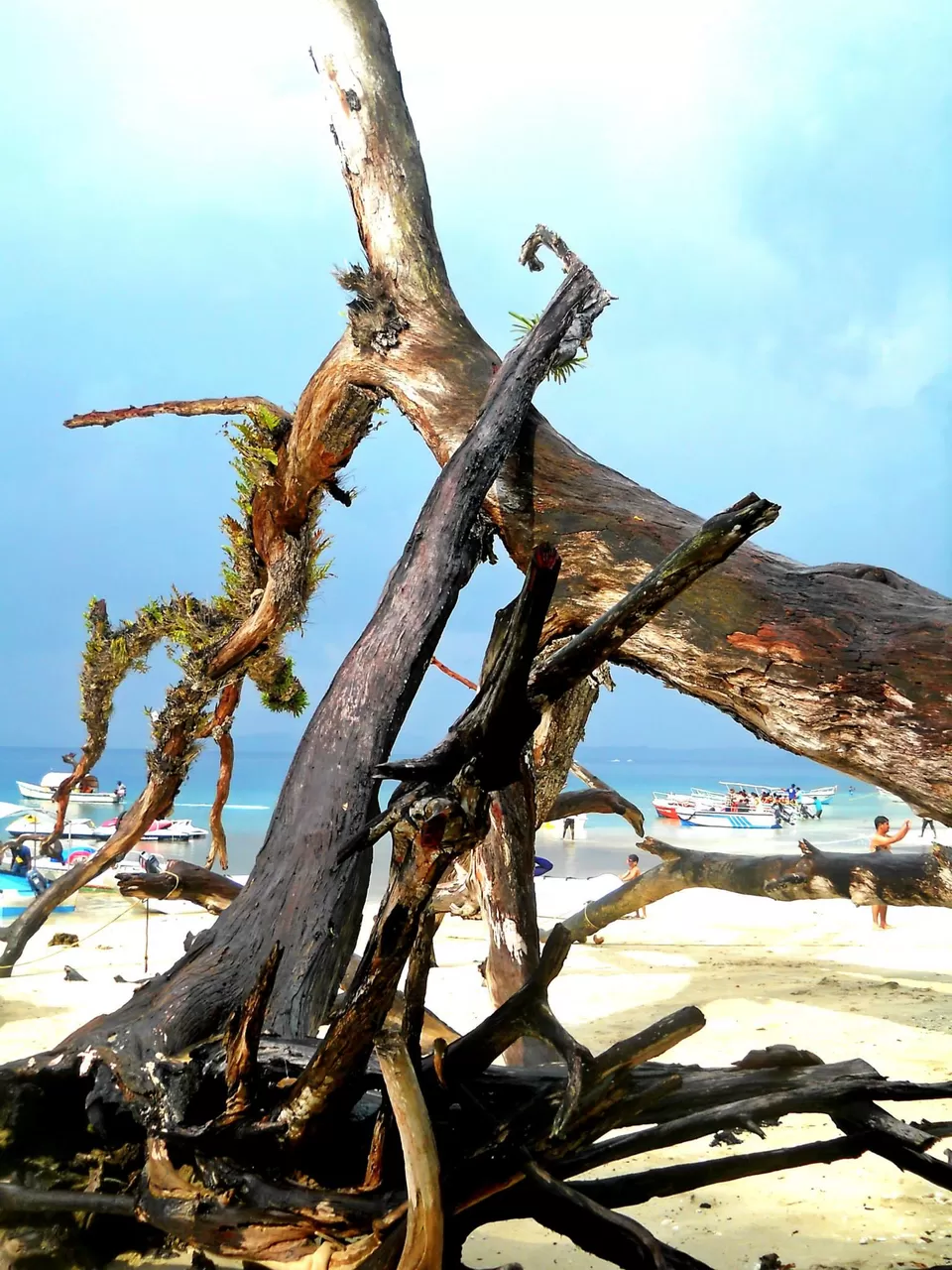 Photo of Andaman and Nicobar Islands by Samrat Bhowmick