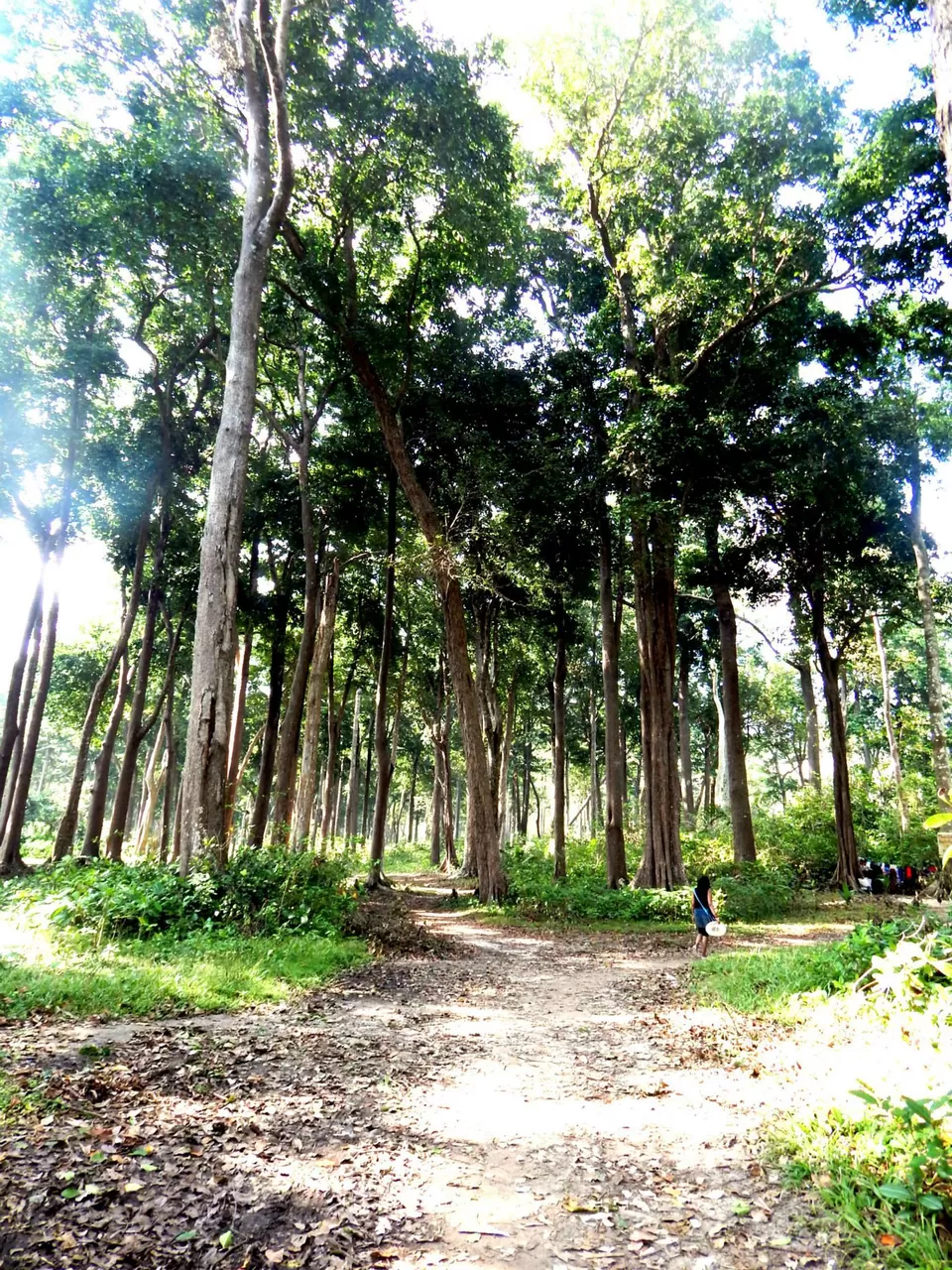 Photo of Andaman and Nicobar Islands by Samrat Bhowmick