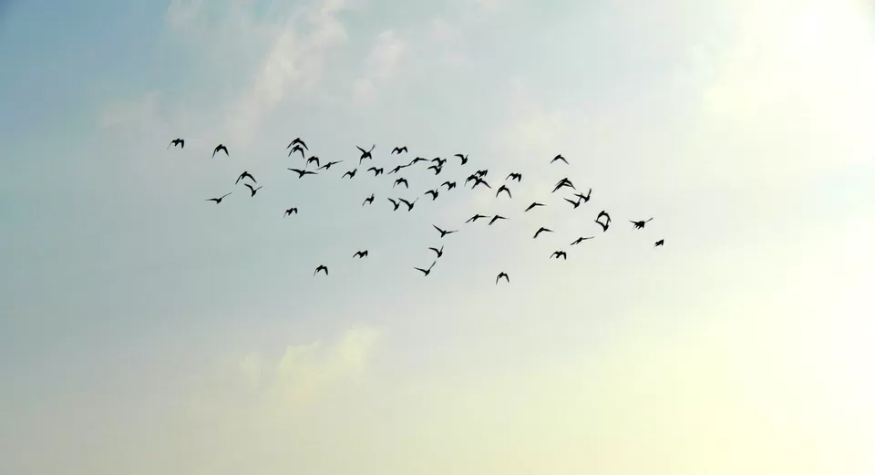 Photo of Andaman and Nicobar Islands by Samrat Bhowmick