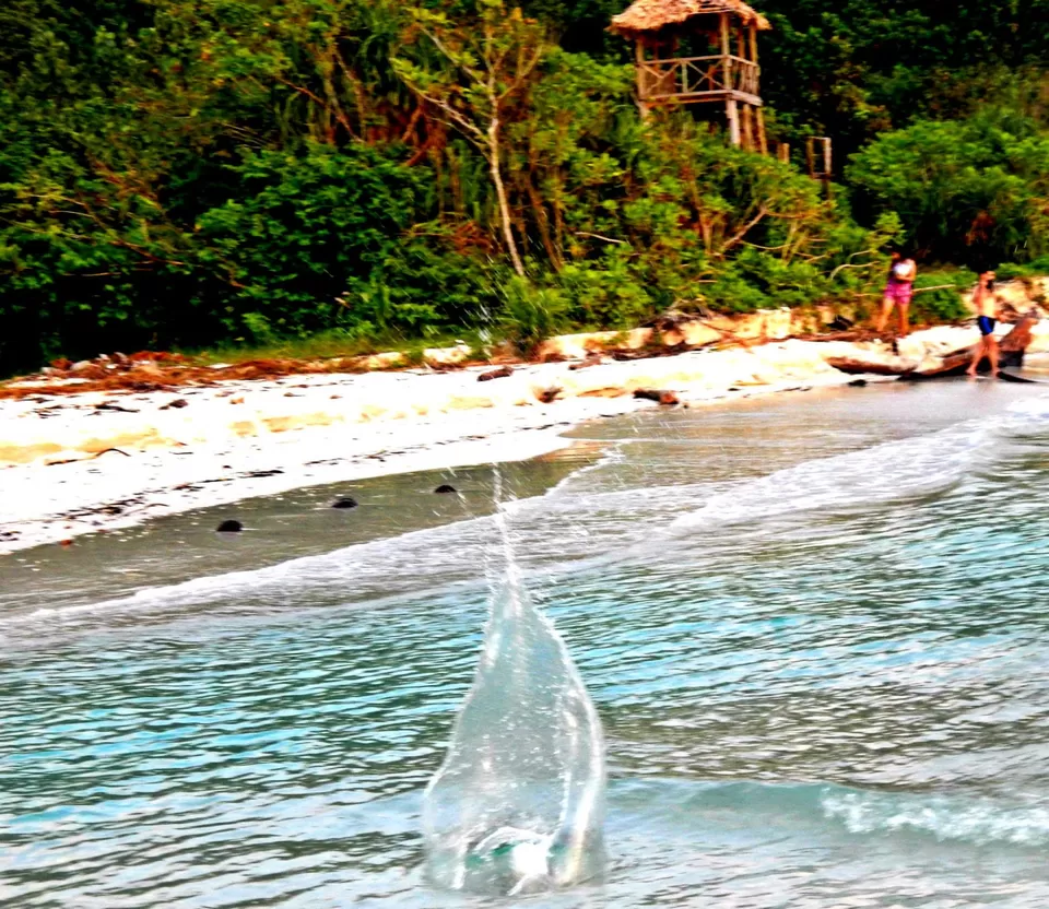 Photo of Andaman and Nicobar Islands by Samrat Bhowmick