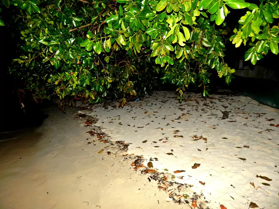 Photo of Andaman and Nicobar Islands by Samrat Bhowmick