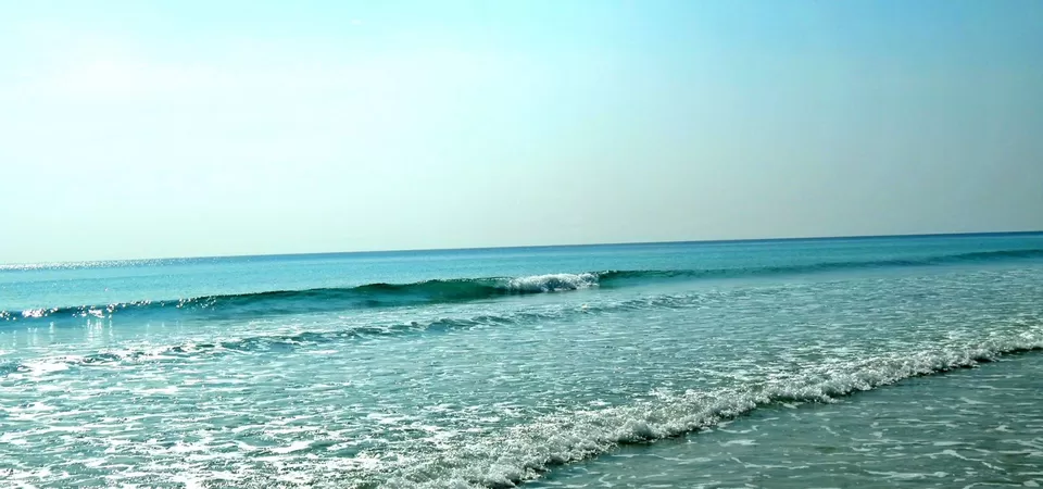 Photo of Andaman and Nicobar Islands by Samrat Bhowmick