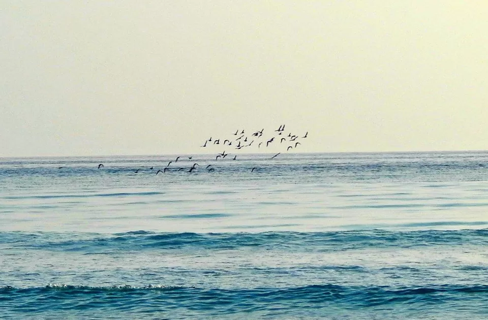 Photo of Andaman and Nicobar Islands by Samrat Bhowmick