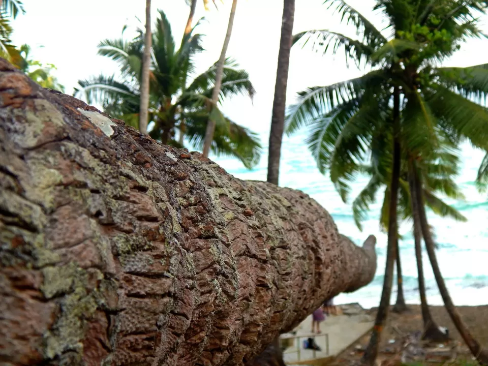 Photo of Andaman and Nicobar Islands by Samrat Bhowmick