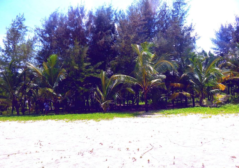 Photo of Kerala Beauty captured by Me. by Samrat Bhowmick
