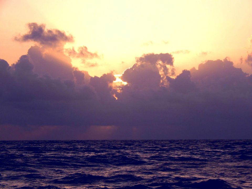 Photo of Kerala Beauty captured by Me. by Samrat Bhowmick