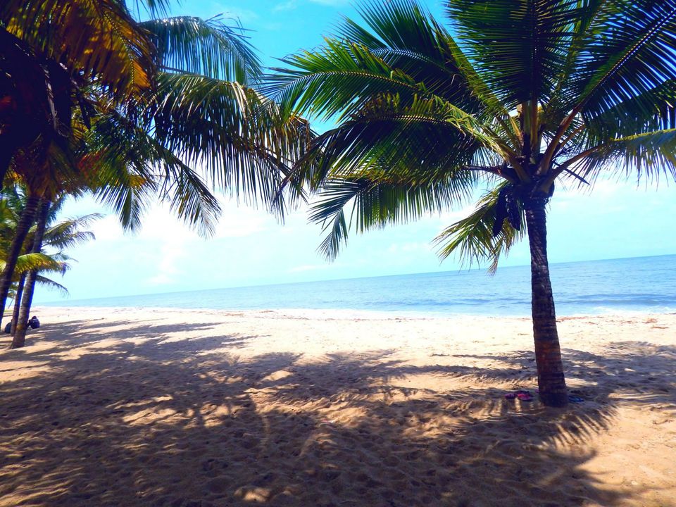 Photo of Kerala Beauty captured by Me. by Samrat Bhowmick
