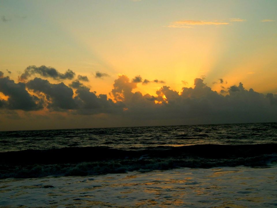 Photo of Kerala Beauty captured by Me. by Samrat Bhowmick