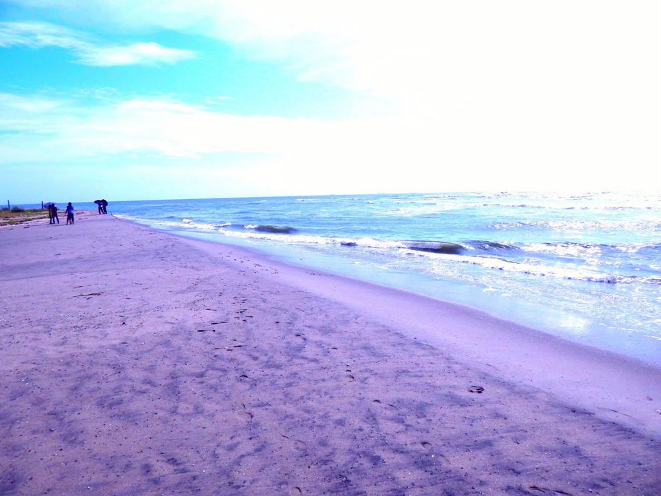 Photo of Kerala Beauty captured by Me. by Samrat Bhowmick