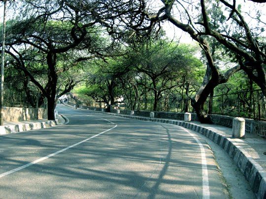 Photo of Interesting travel spots in Delhi 5/11 by Samrat Bhowmick