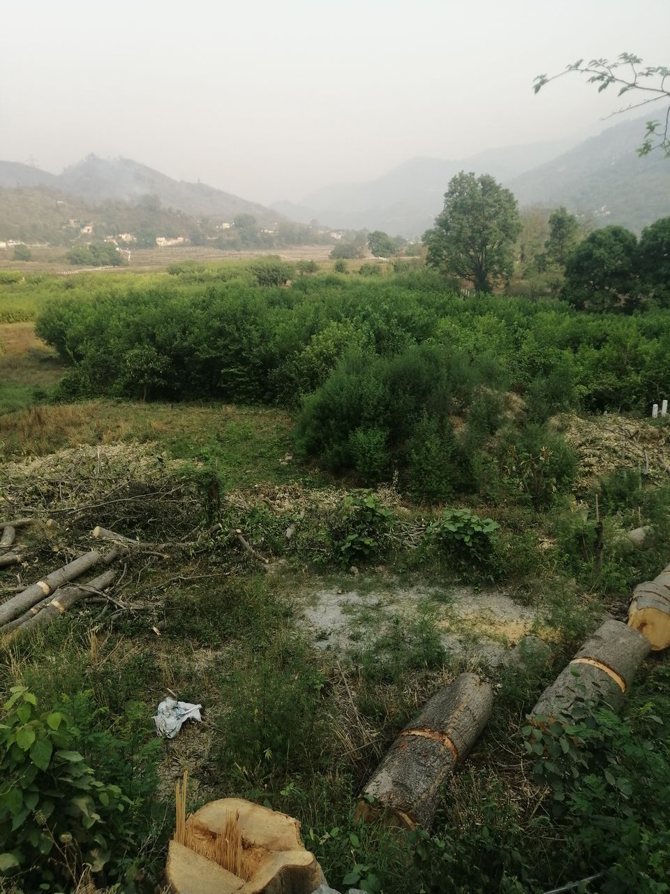 Photo of Delhi to Kedarnath Trip n Trek via Rishikesh : Trip to heaven! 9/37 by Aman Srivastav