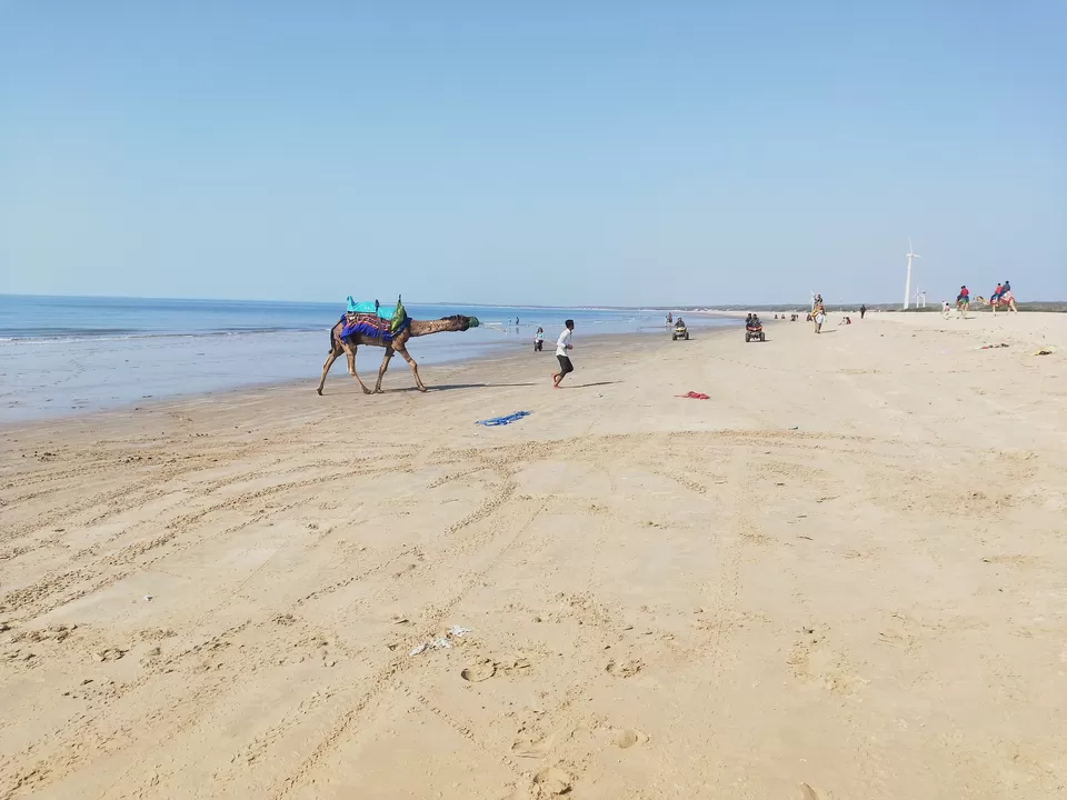 Photo of Mandvi Beach, Mandvi Rural, Gujarat by Narendra Gehloth