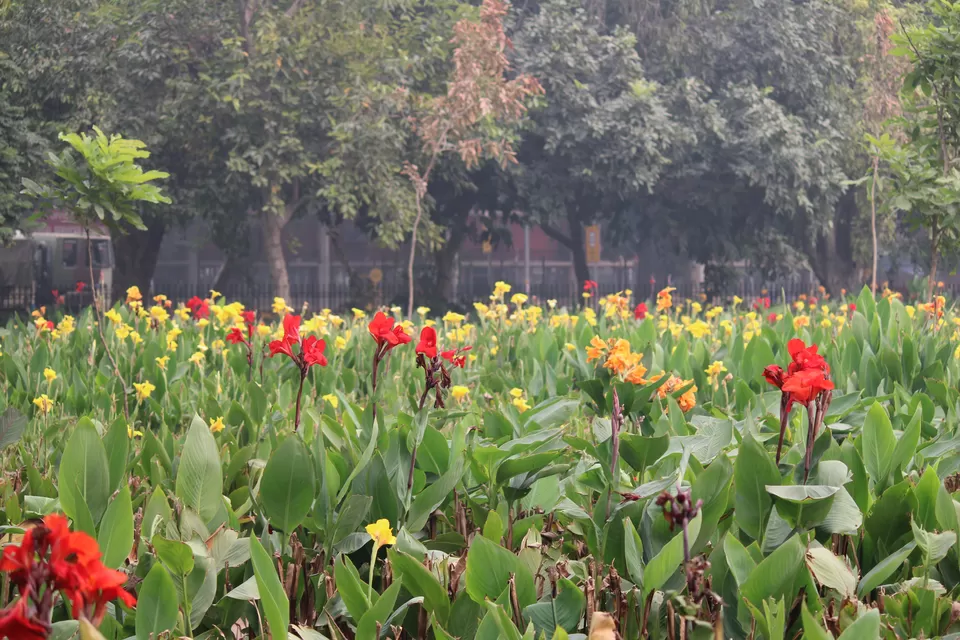 Photo of India Gate, Rajpath, India Gate, New Delhi, Delhi, India by Narendra Gehloth