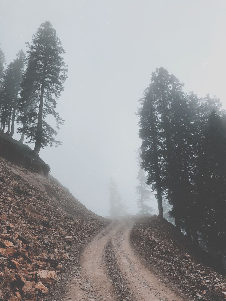 Photo of Padri Pass, Forest Block by shama khan