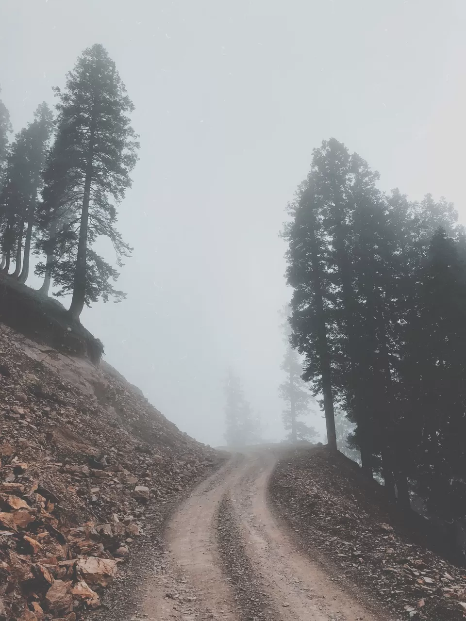 Photo of Padri Pass, Forest Block by shama khan