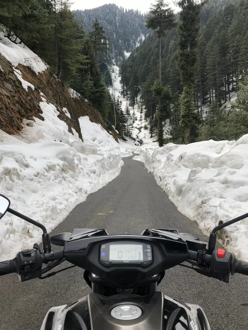 Photo of Bhaderwah - Chamba Road, Thanala, Forest Block by shama khan