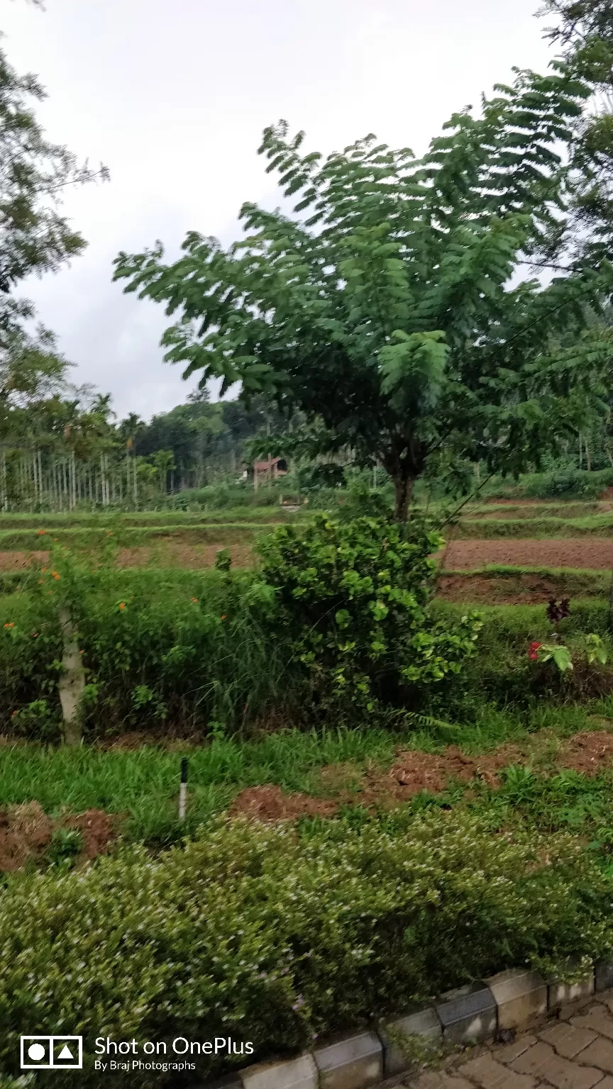 Photo of Kadkani Riverside Resort, Coorg, Madikeri, Karnataka, India by Braj Raman