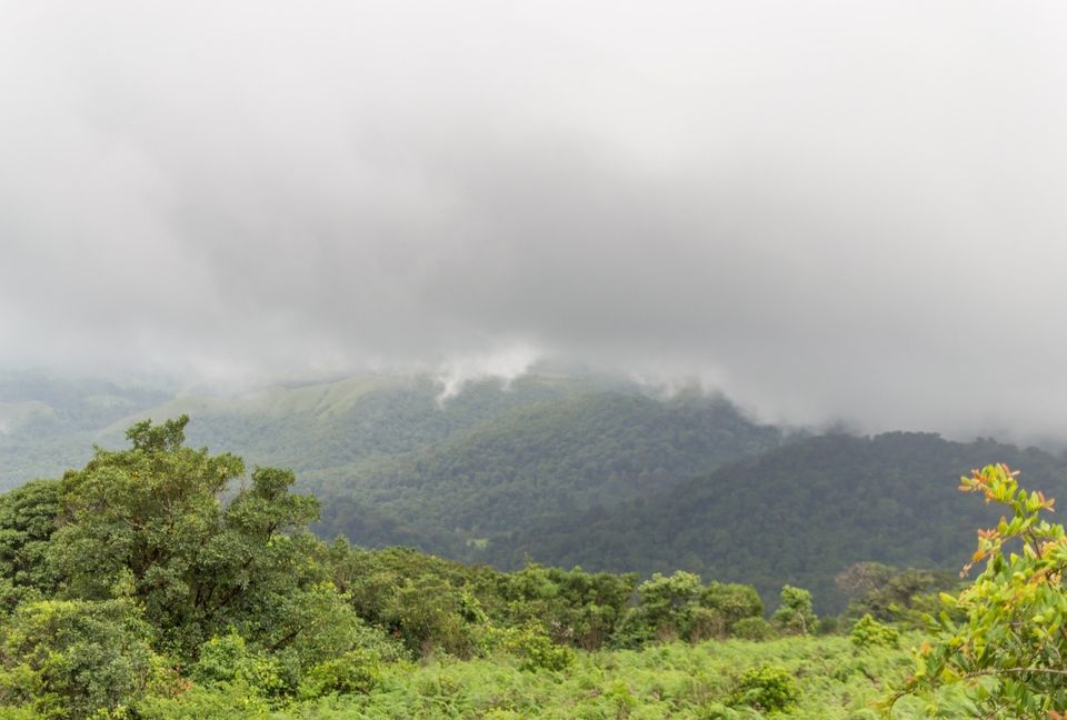 Photo of Mandalpatti, Hammiyala, Karnataka by Braj Raman