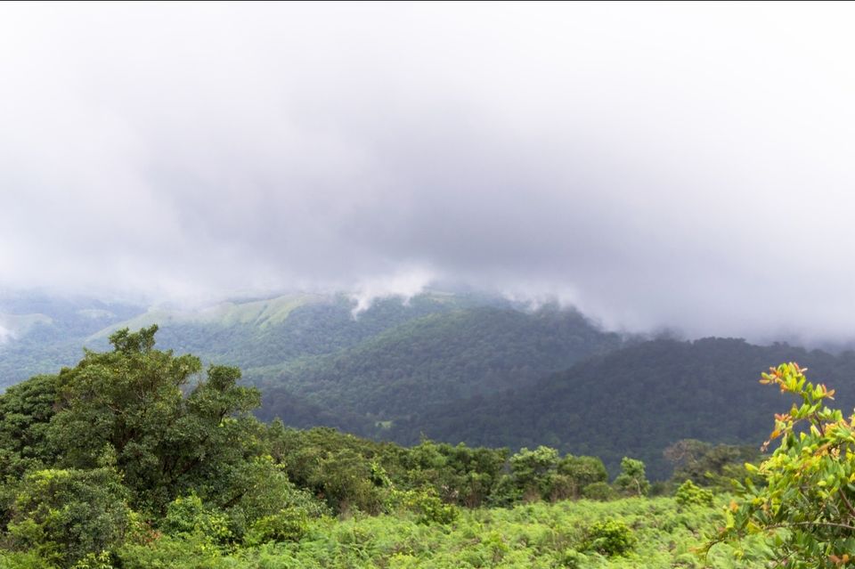 Photo of Mandalpatti, Hammiyala, Karnataka by Braj Raman