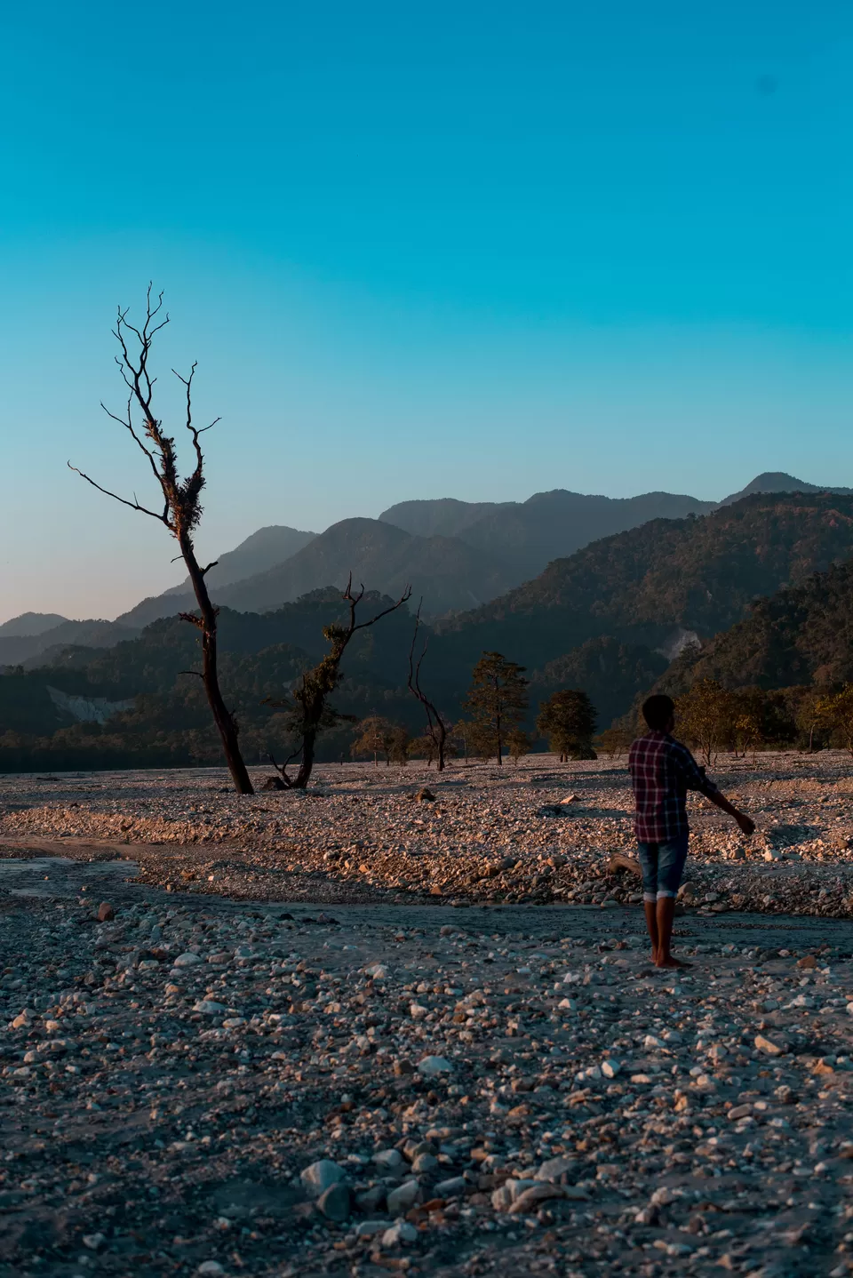 Photo of Jayanti, Alipurduar, West Bengal, India by Ayan Banerjee