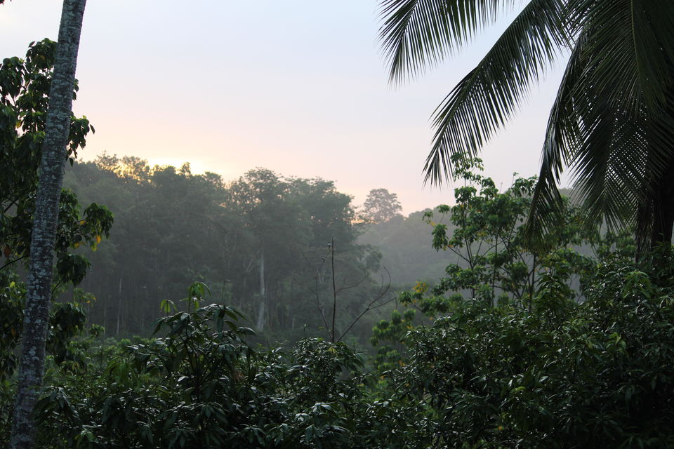 Photo of The Plateaus, The Ghats and the Sea Side : My Unplanned Trip to Karnataka 6/10 by Harika Palaparthi