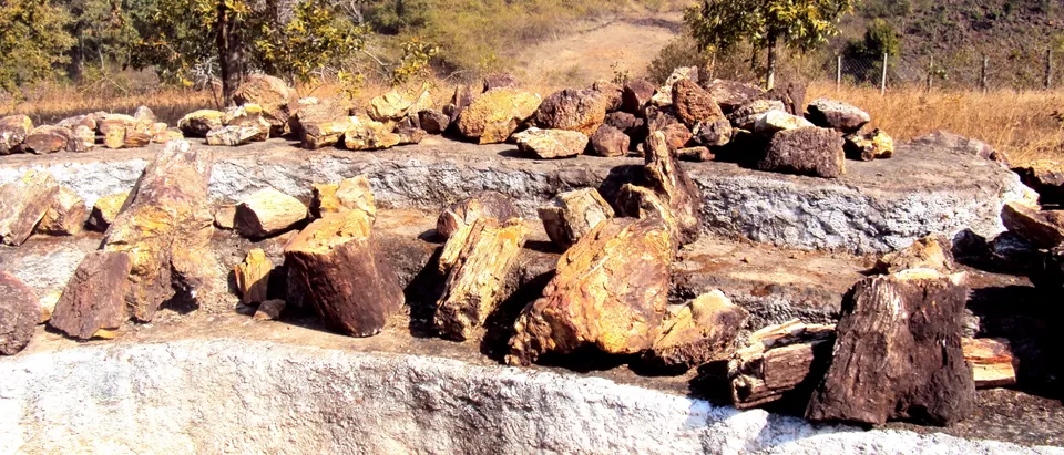 Photo of Ghughua Fossil Park By S H R I P A L 