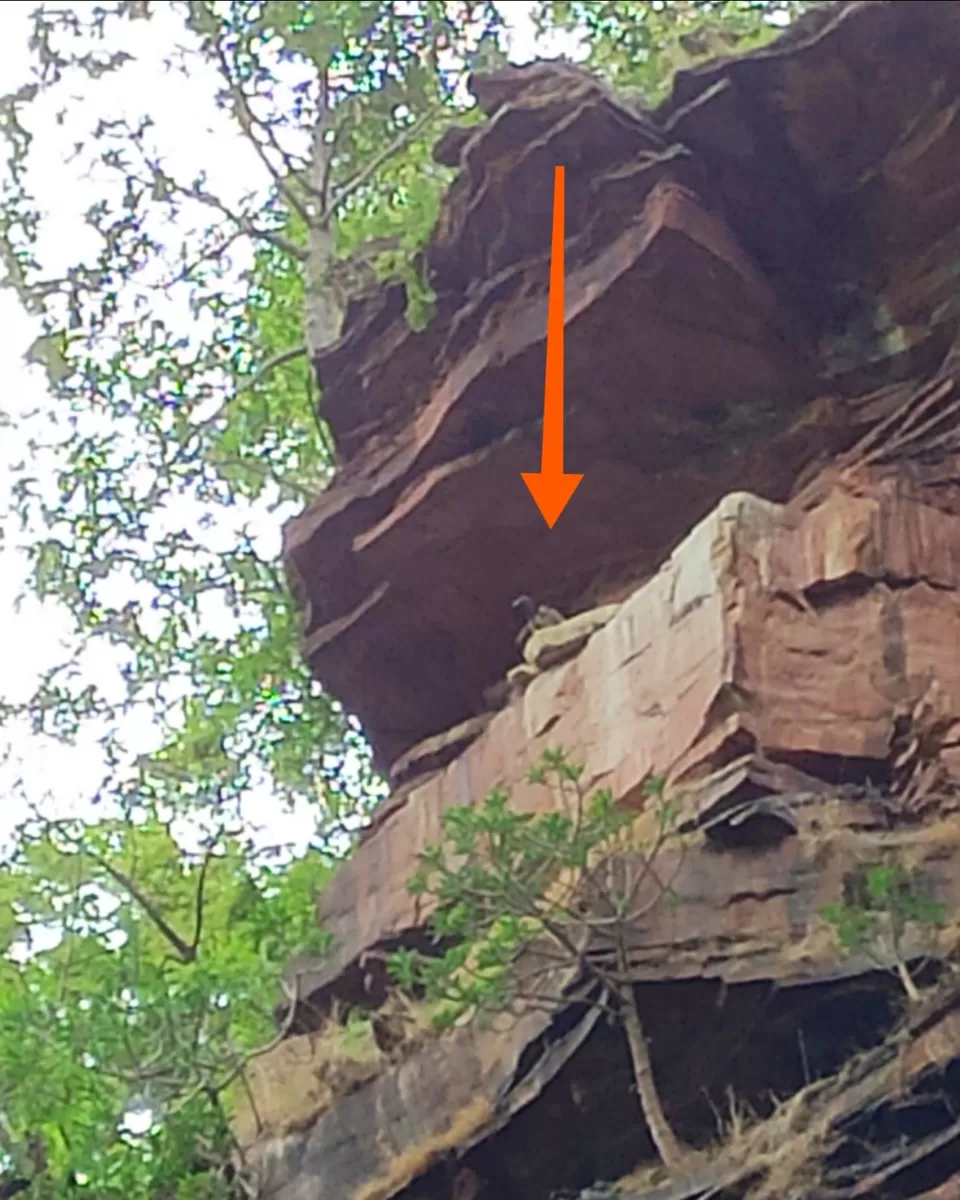 Photo of Nidan Fall By S H R I P A L 