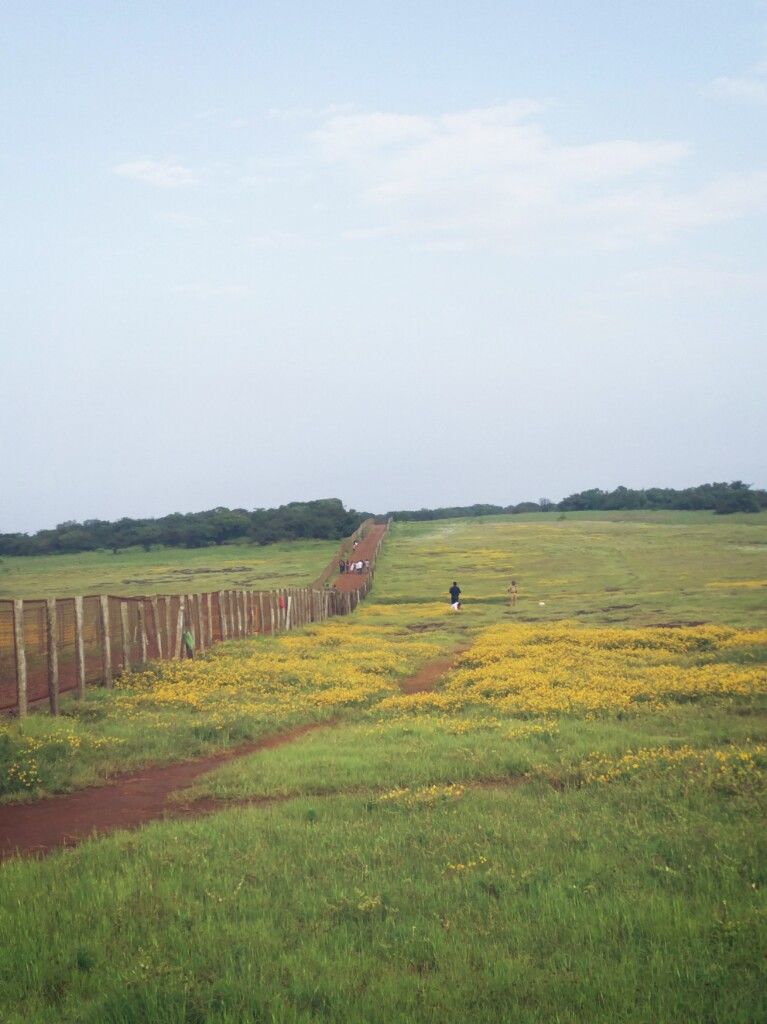 Photo of 10 Things to remember while visiting Kaas Plateau 1/1 by Radhika